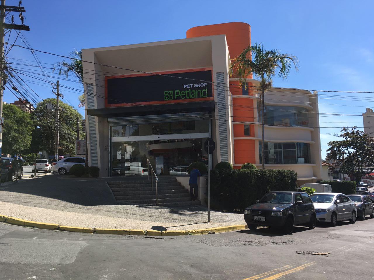 Petland Campinas - Foto 2