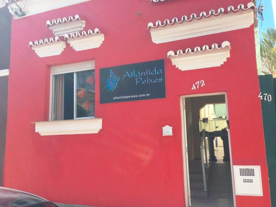 Atlântida Peixes - Foto 2