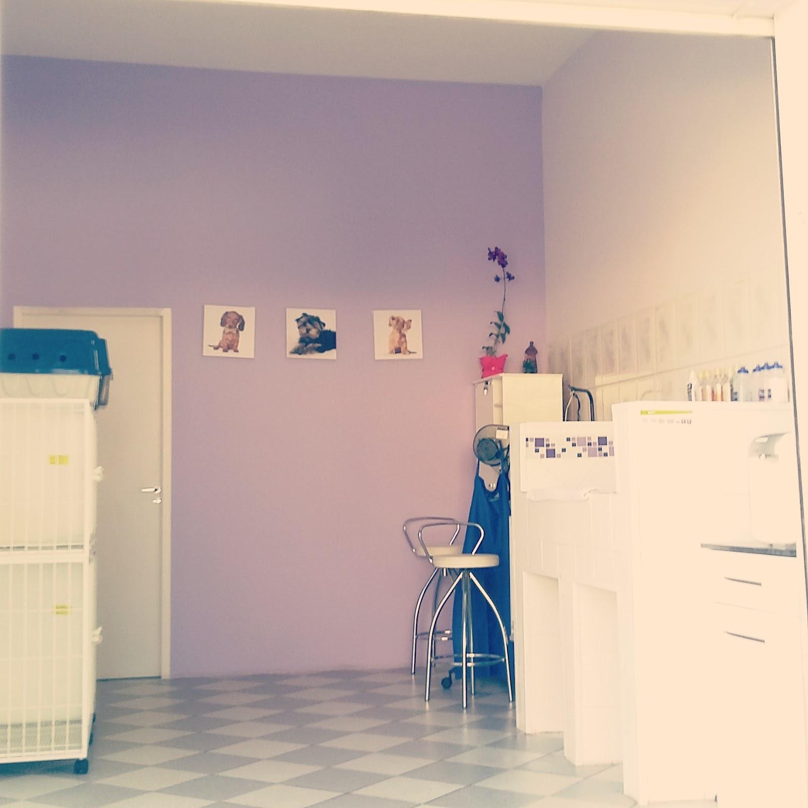 Pet Spuma Banho & Tosa