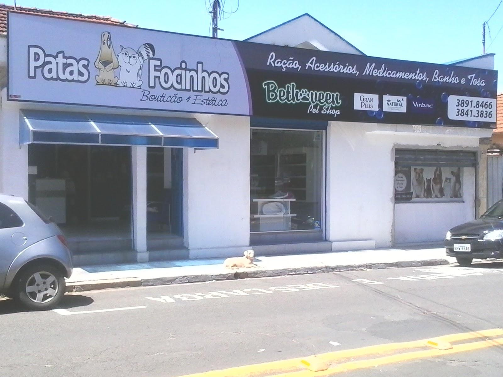 Patas & Focinhos Clinica Veterinária