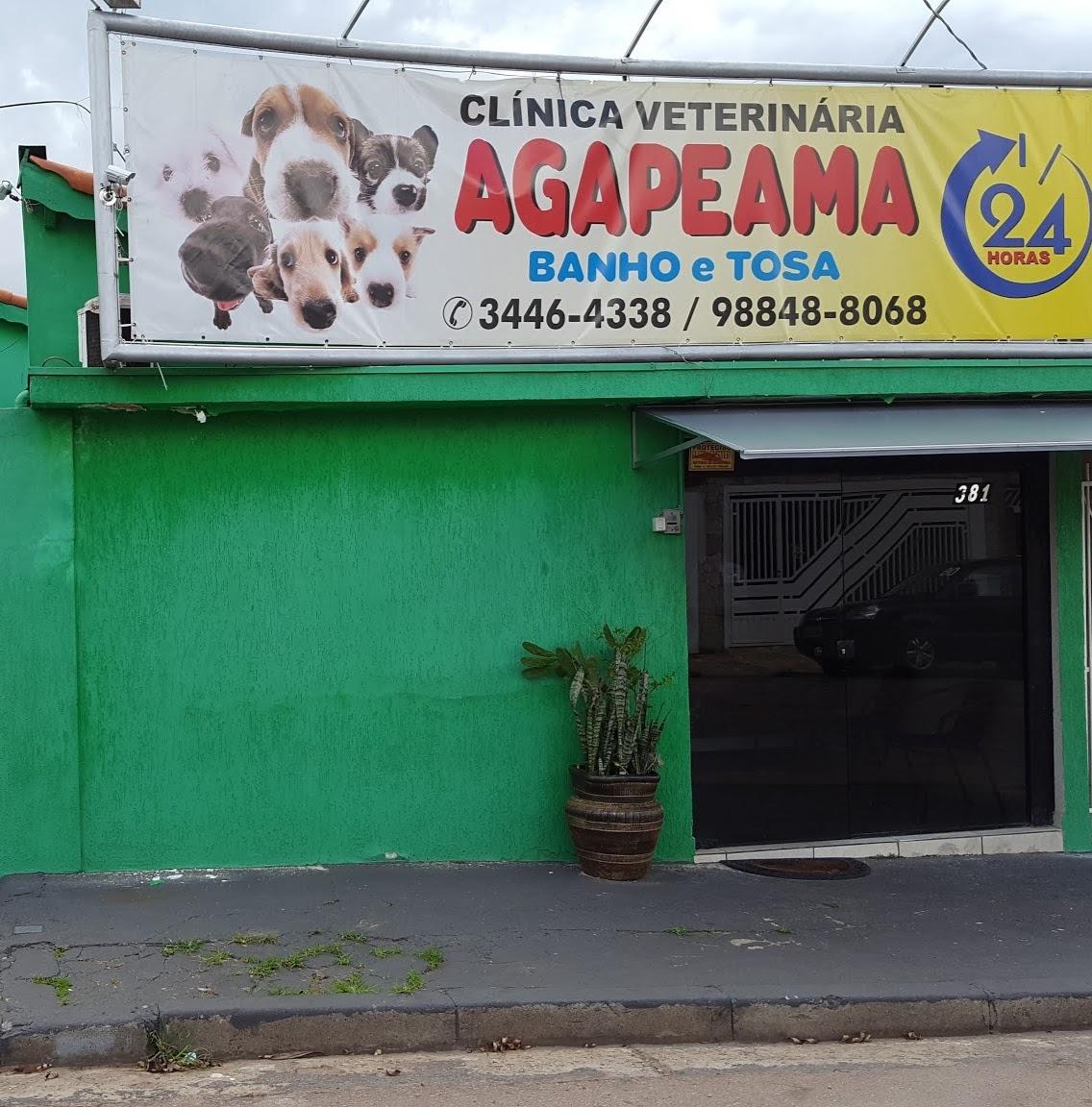 Veterinary clinic Agapeama