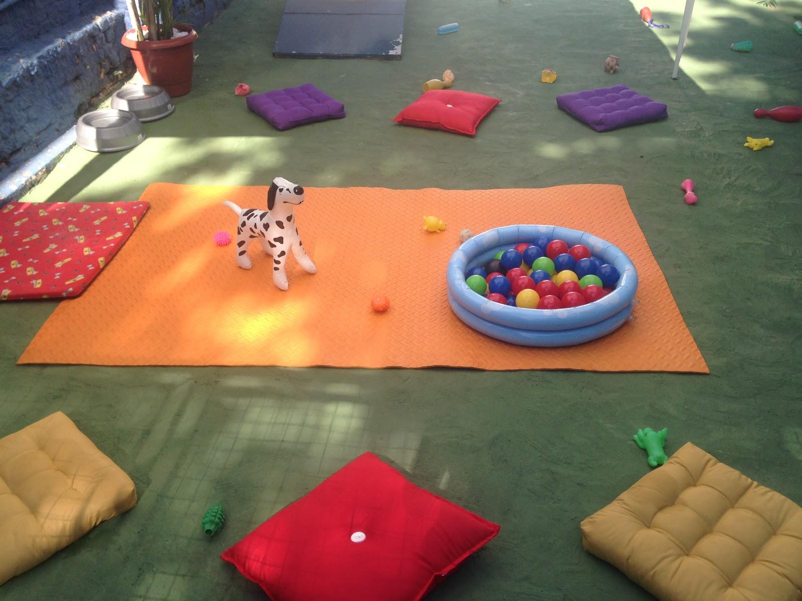 Veterinary clinic Zoovet