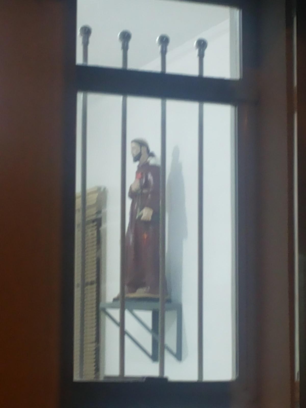 Cão & Cia Veterinária