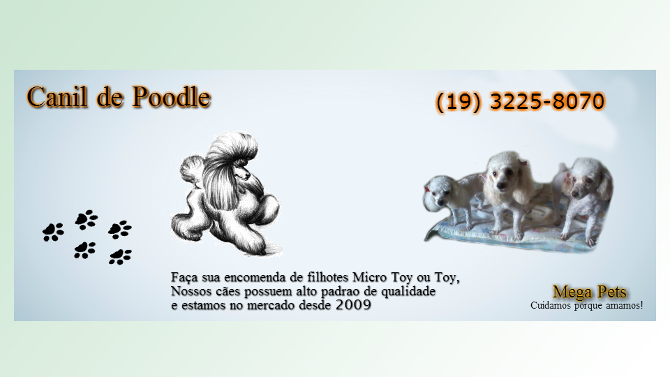 Poodle Kennel - Foto 2