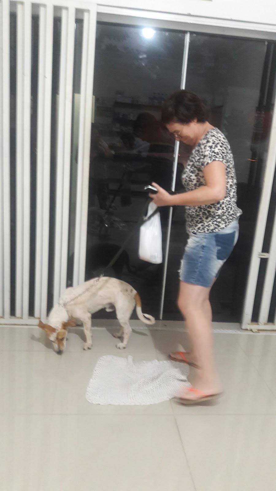 Vet Store - Foto 2