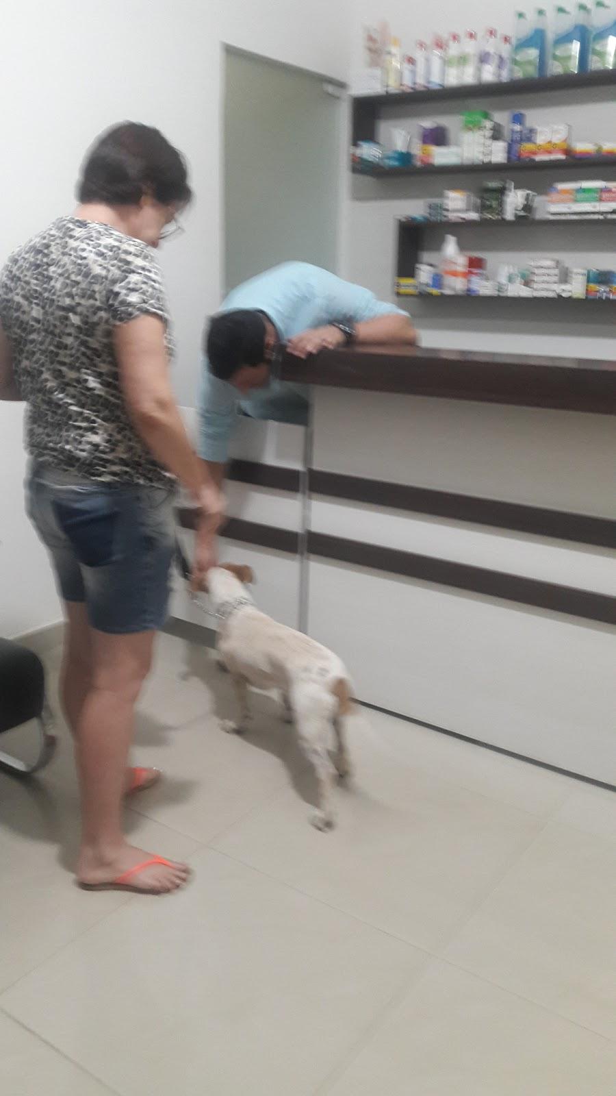 Vet Store - Foto 4
