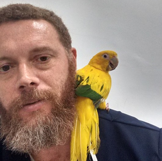 Clinica Veterinária My Pet Home Care 24h