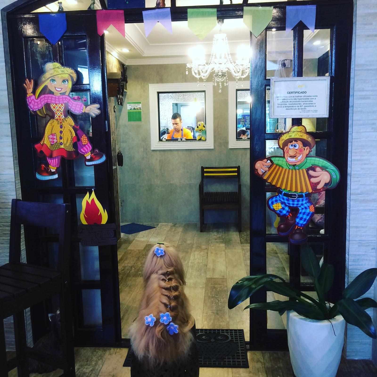 Portal Dos Bichos Pet Shop Curso de Banho e Tosa