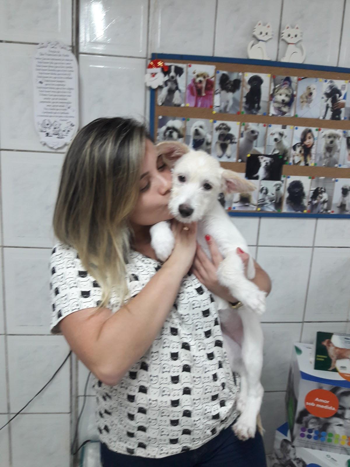 Beach PetShop - Foto 4