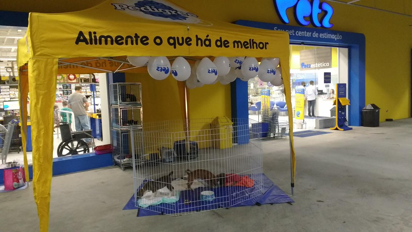 Pet's Santo Andre - Foto 2