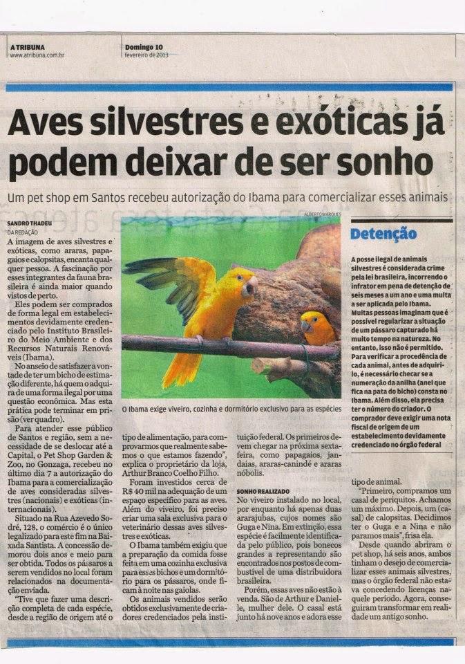 Petshop - Foto 4