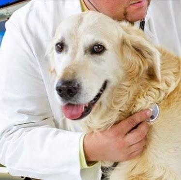 Centro Veterinario Pellegrini