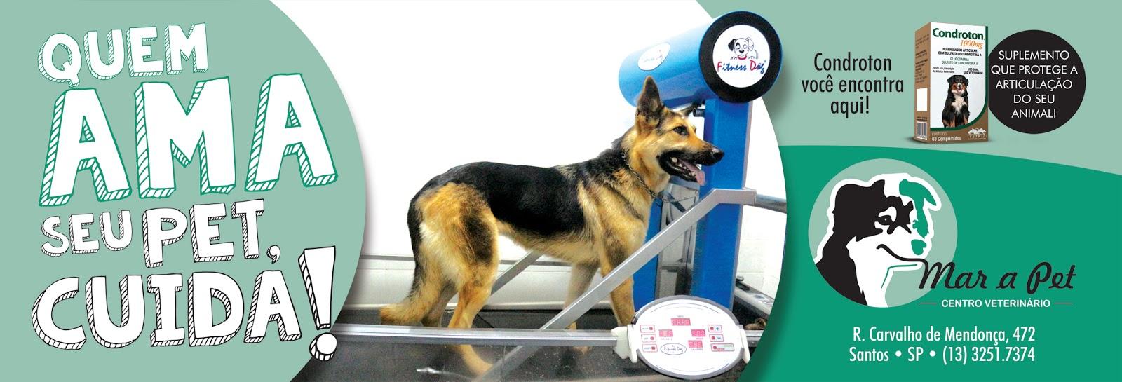 Mar a Pet - Veterinário 24h