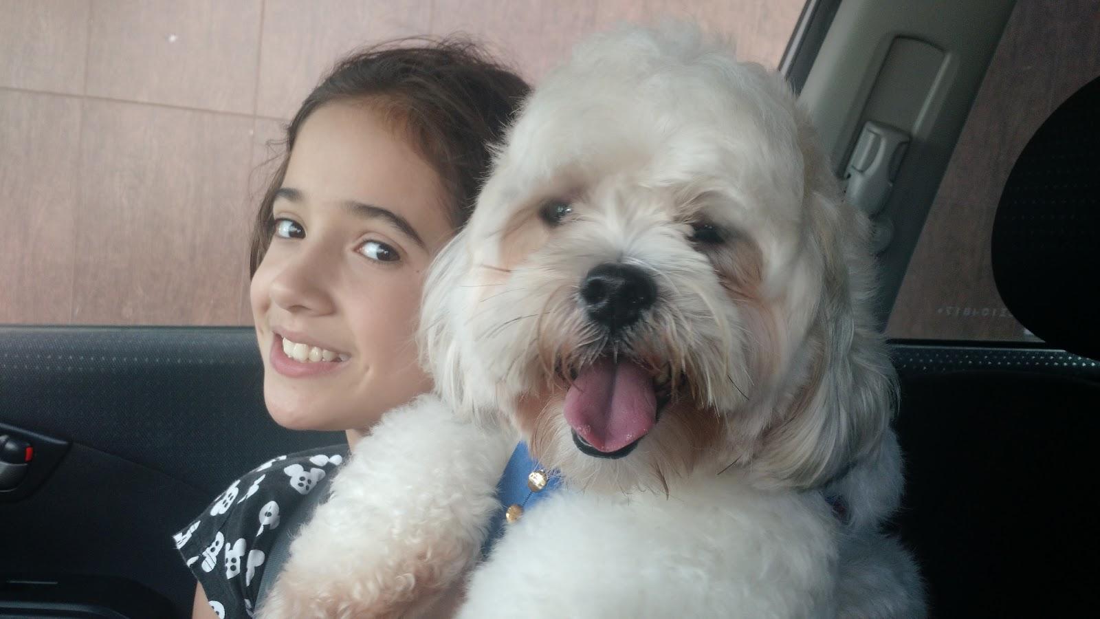 Kicão - Foto 2