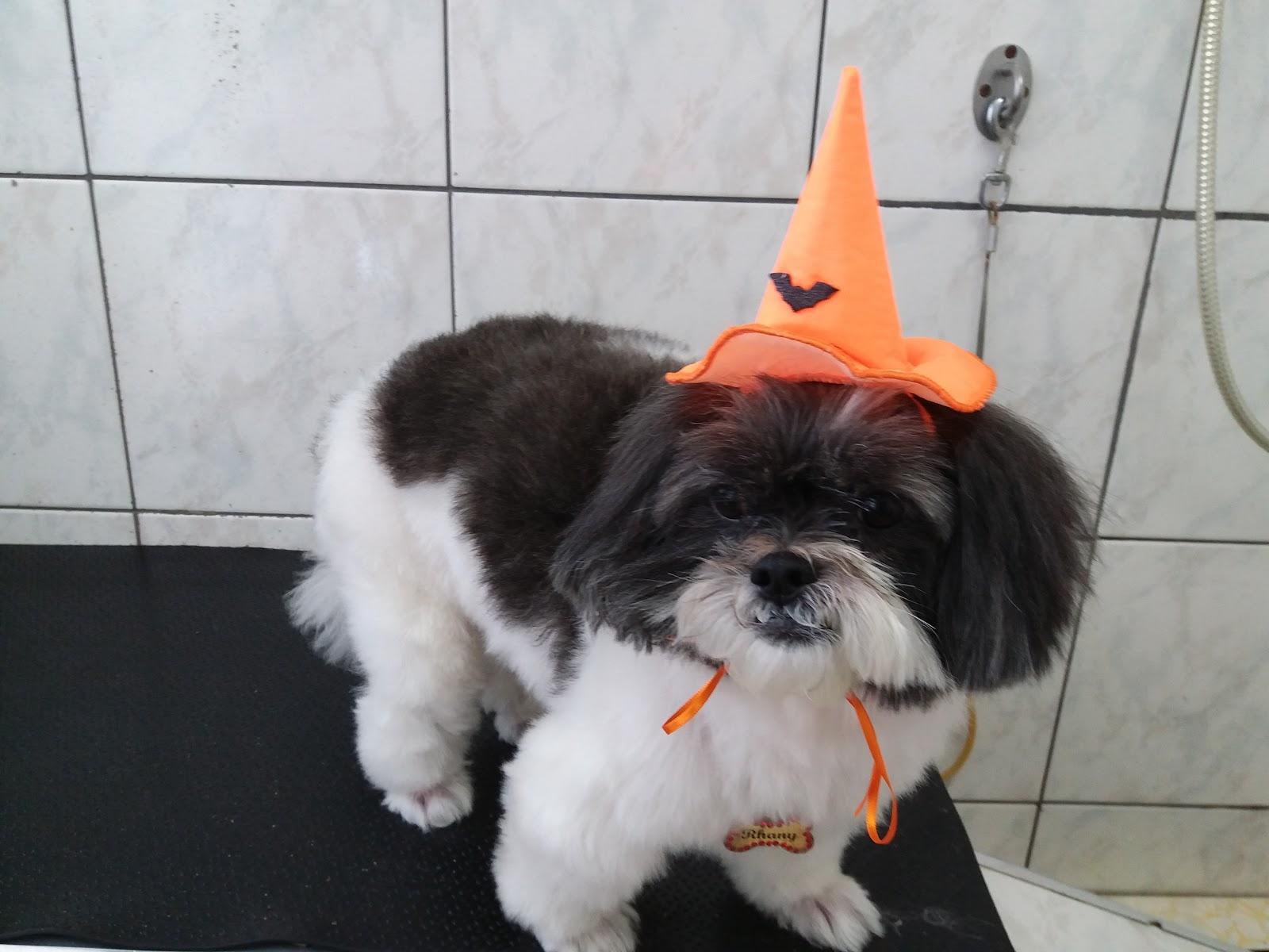 Clínica Veterinária e Pet Shop Au Q Mia