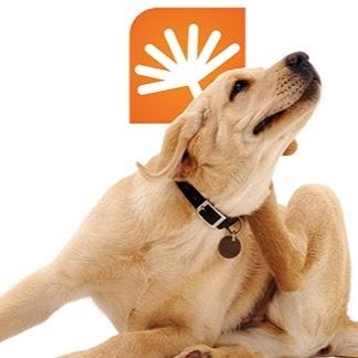 Instituto Allergen de Alergia Veterinária