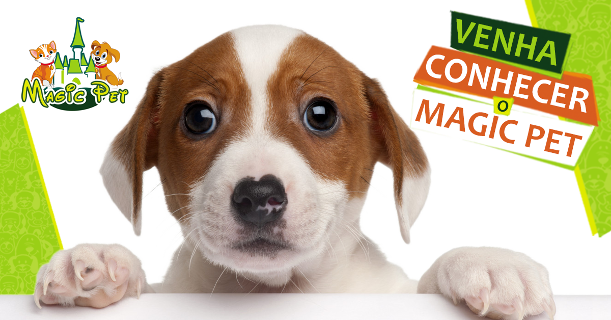 Magic Pet - Foto 3