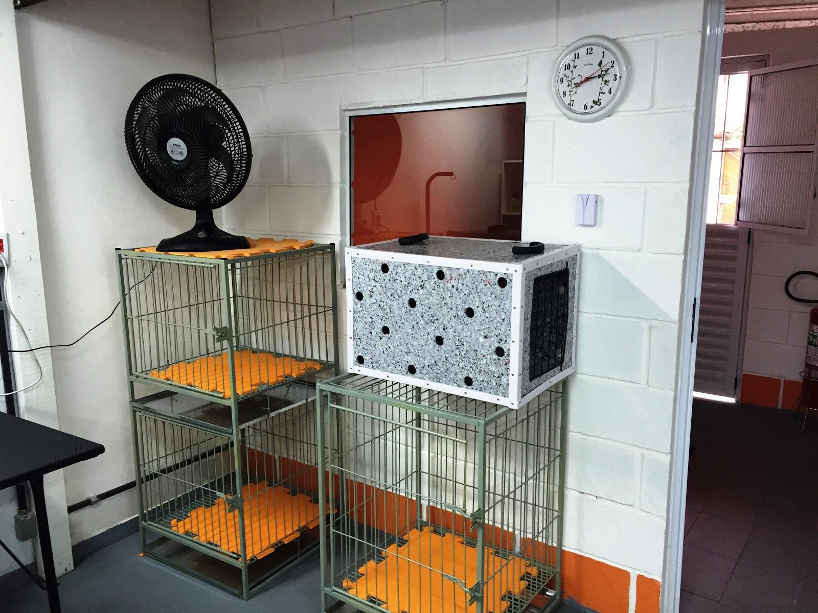 Folia dos Pets Banho e Tosa