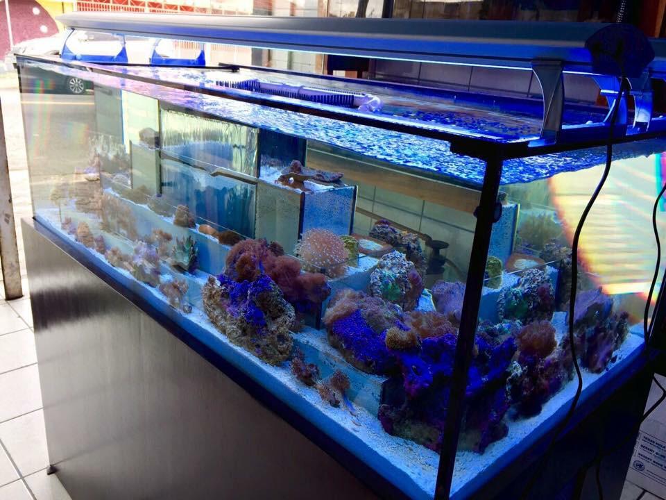 AQUABC - Foto 4