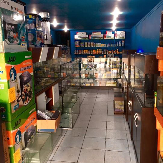 AQUABC - Pet Shop em Santo André