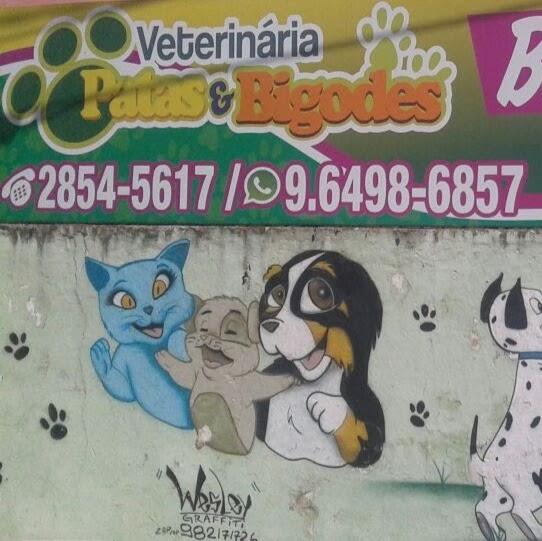Patas e Bigodes - Foto 2