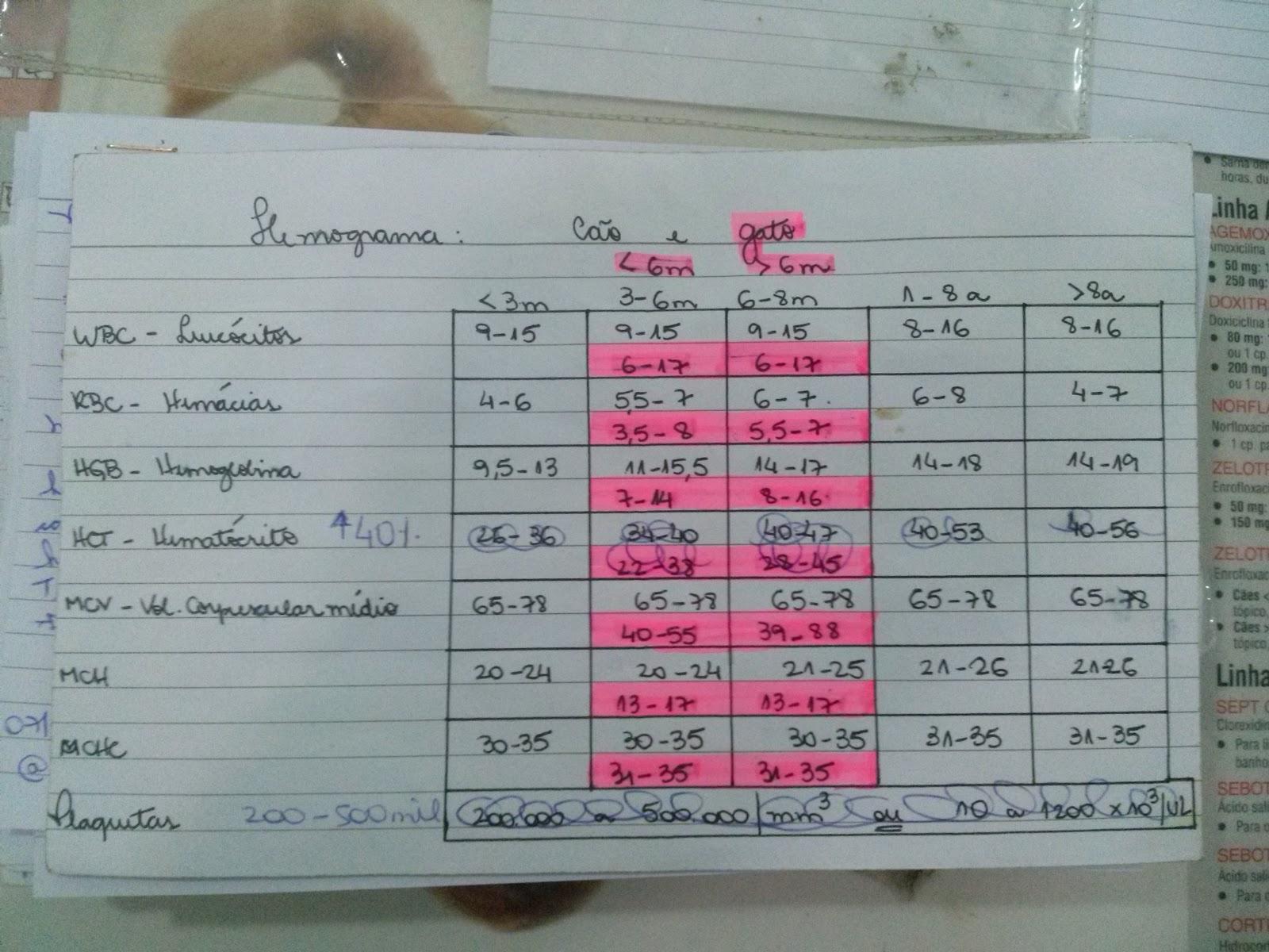 Pet shop preco baixo