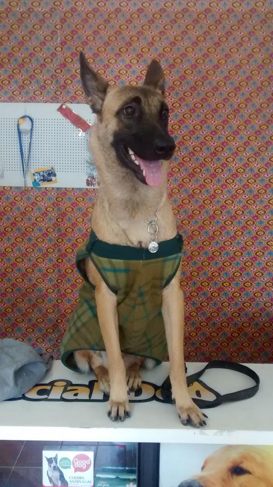 Pet Shop Master Pet - Foto 3