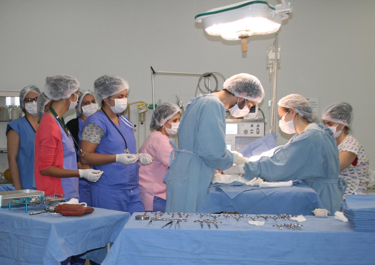 Hospital Veterinário - Centro Universitário de Rio Preto - UNIRP - Foto 2