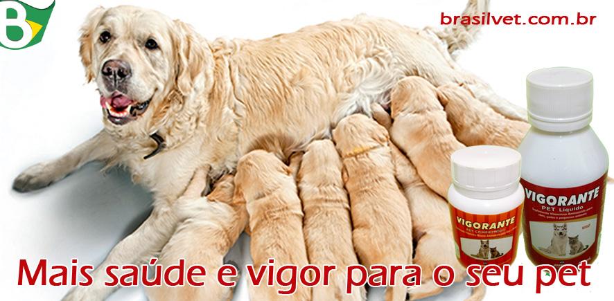 Brasilvet Saúde Animal