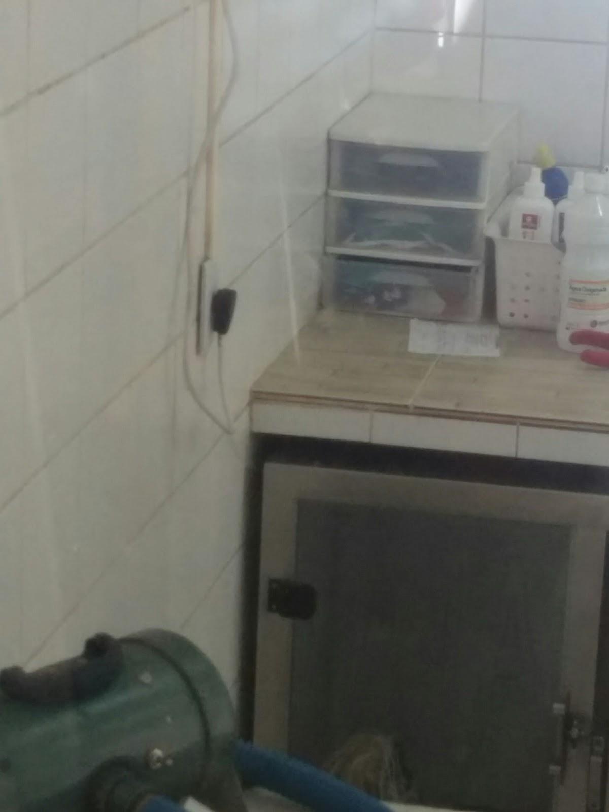 Life Pet Store - Pet Shop in Sorocaba