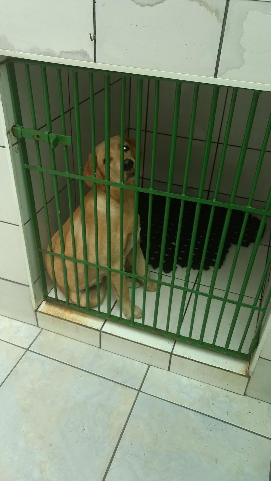 Bicholândia - Sorocaba