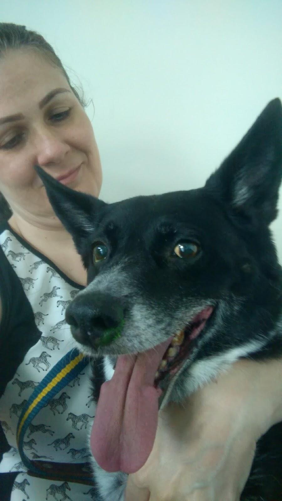 CVDI - Centro Veterinário de Diagnóstico Por Imagem