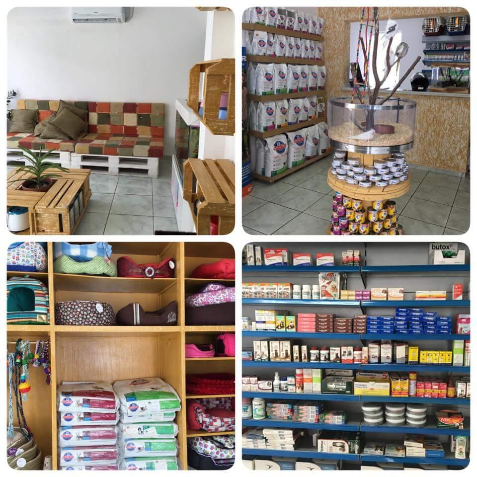 Conceito Pet Store