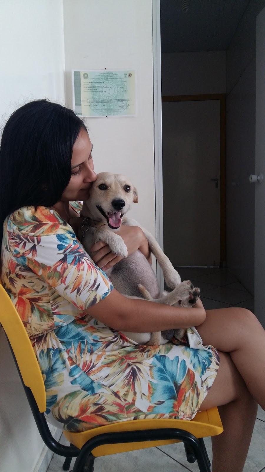 Clínica Veterinária Divino