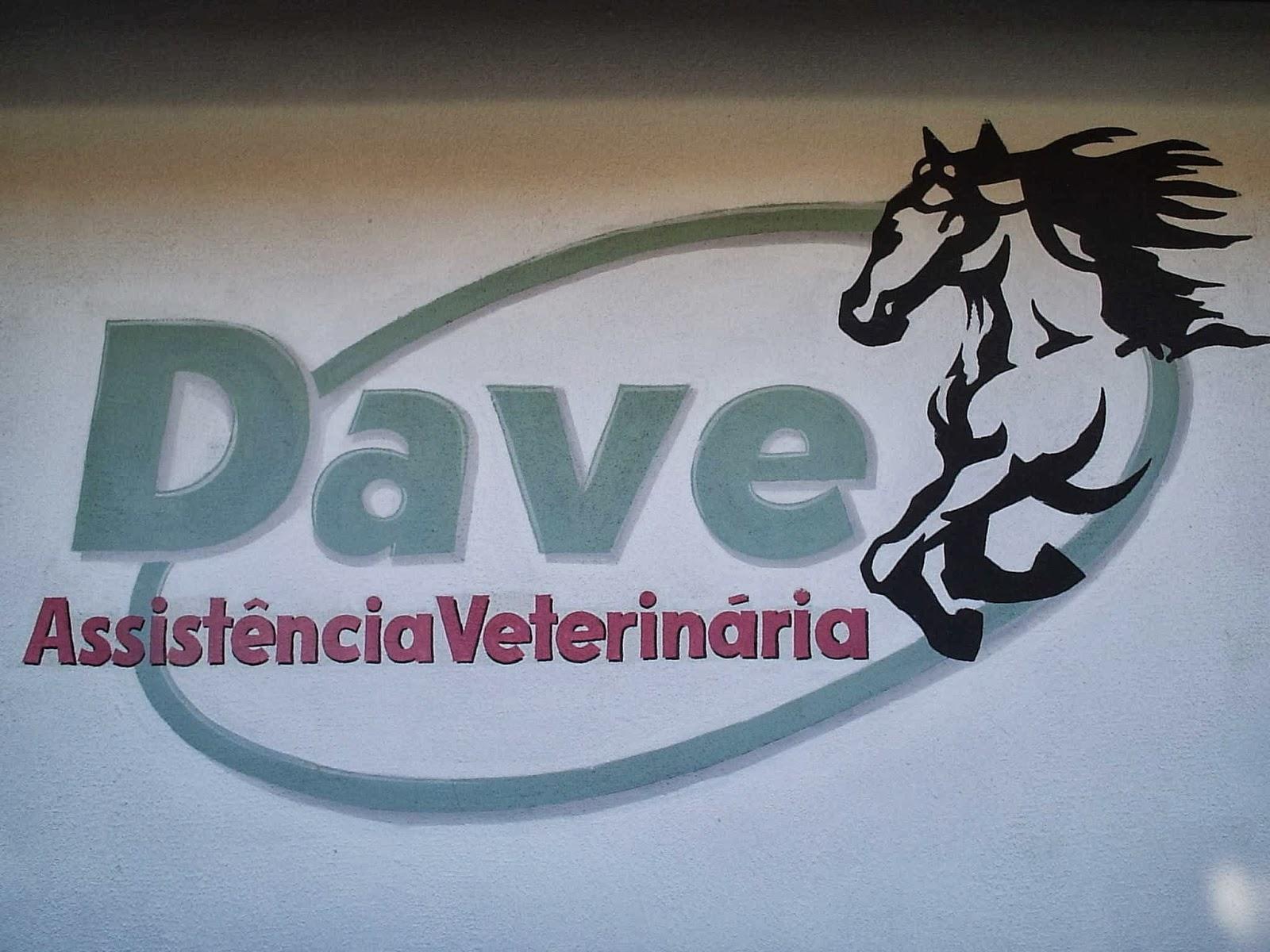 Dave Assistência Veterinária Ltda - Foto 2