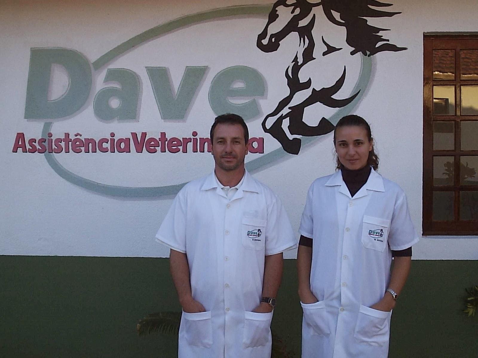 Dave Assistência Veterinária Ltda - Foto 3