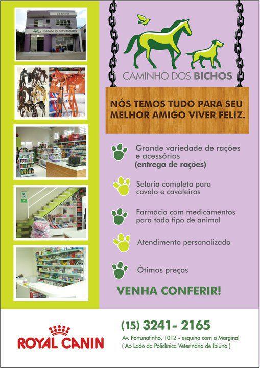 Caminho dos Bichos - Foto 3