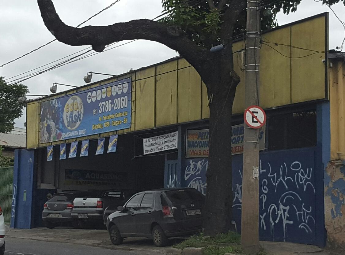 Eco Fish Aquários e Lagos