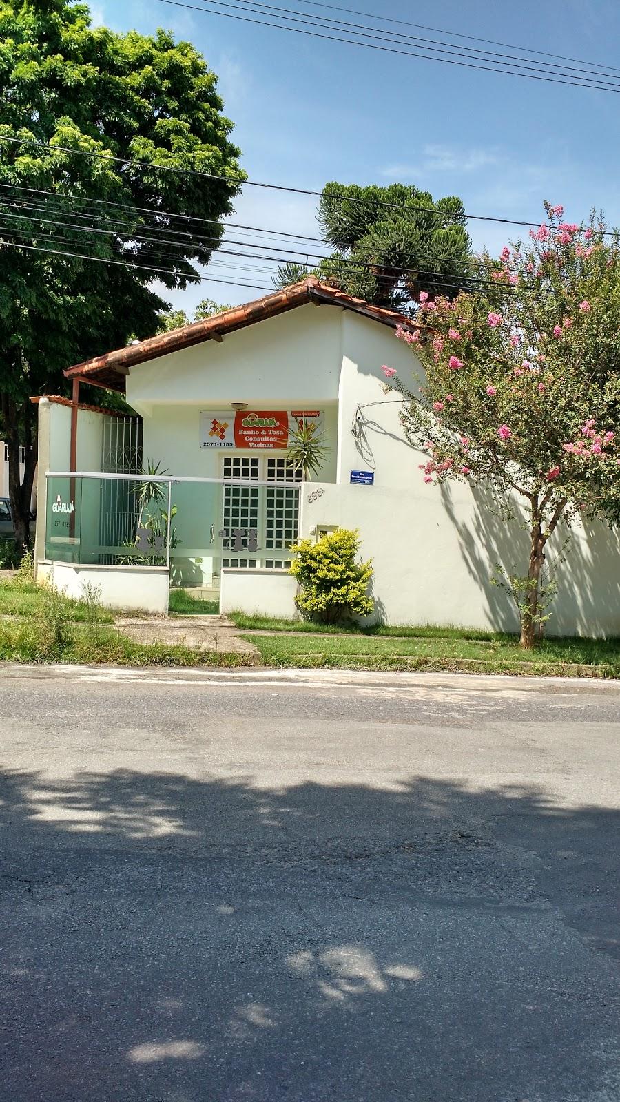 Guarujá Pet ® Clinica Veterinaria 24 Horas Vacinas Banho e Tosa