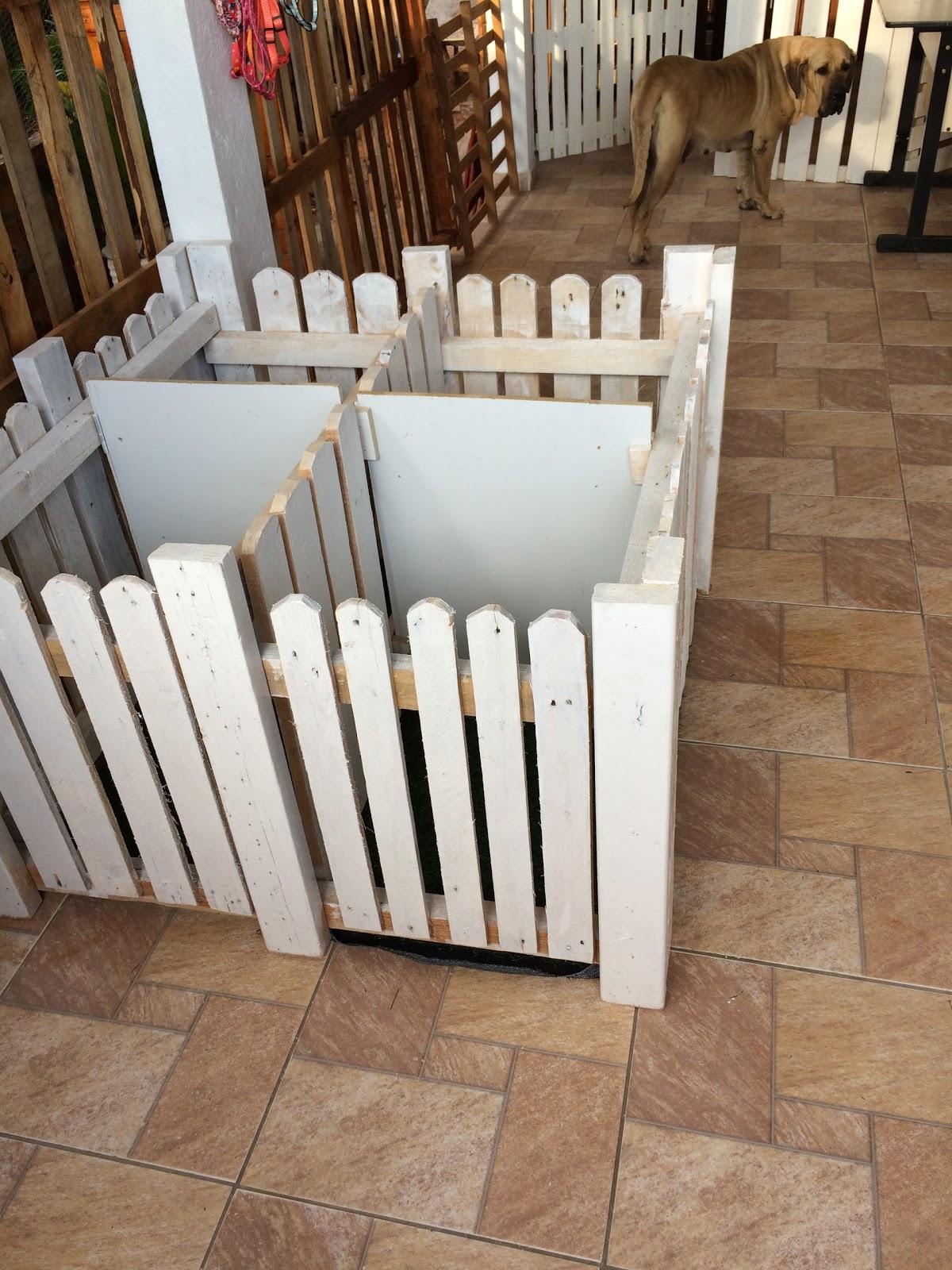 Pet Shop Pet K.I. Krasa