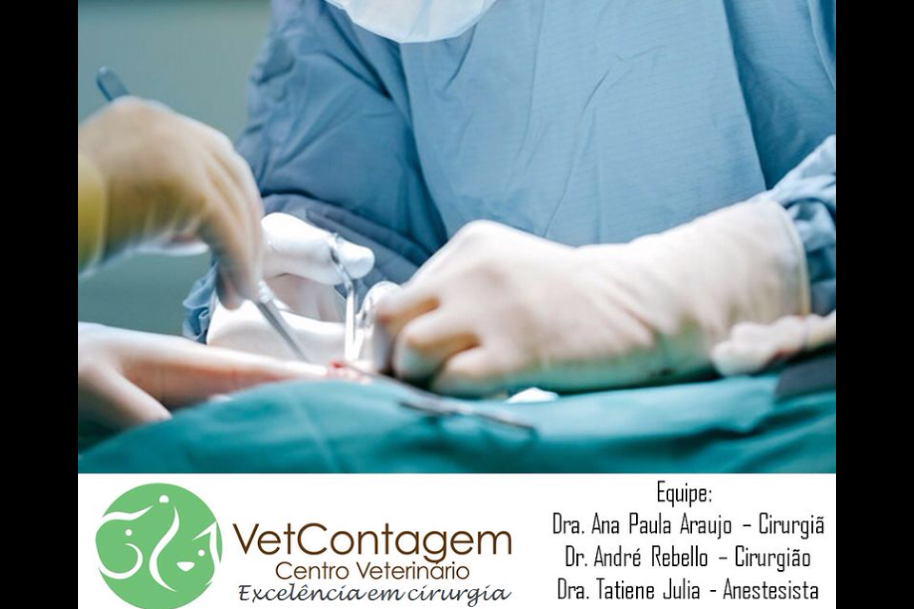 VetContagem - Foto 3