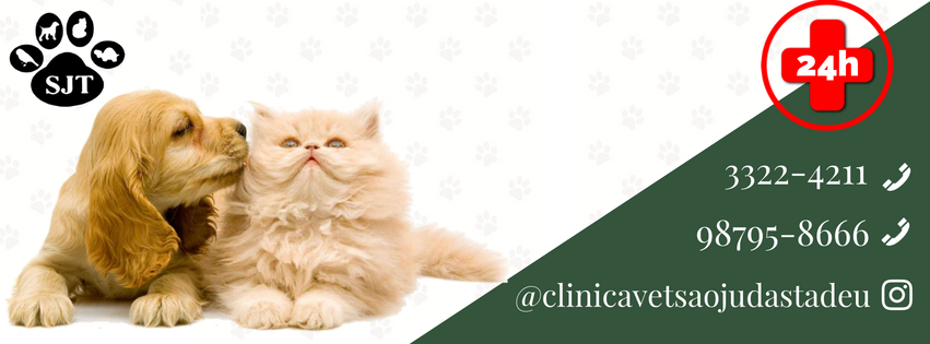 Veterinary Clinic St. Judas Tadeu