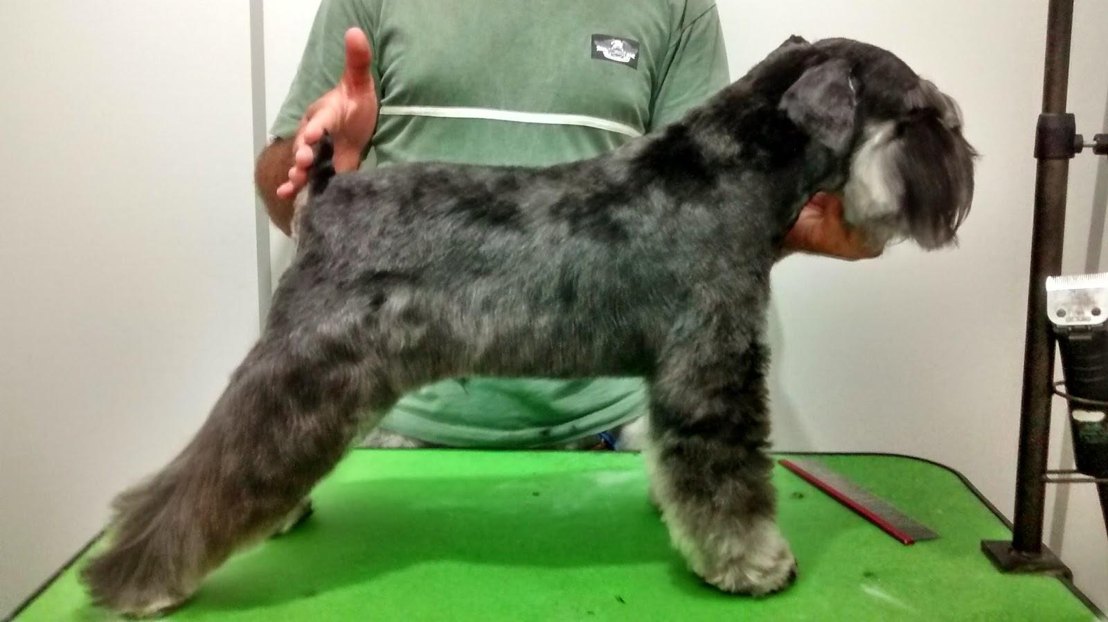 Centro de Estética Snoopy