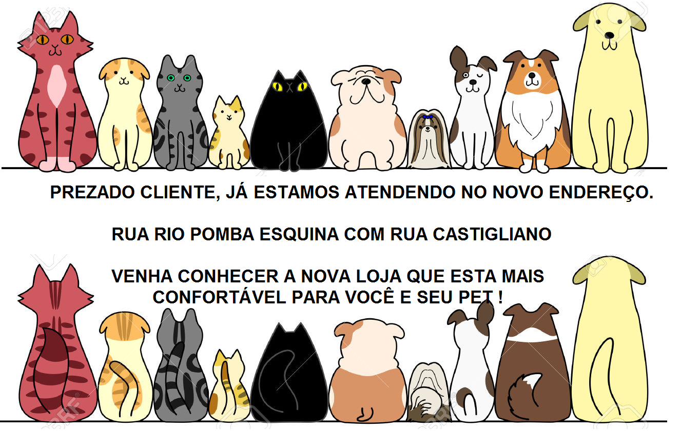 Pet Estética - Belo Horizonte