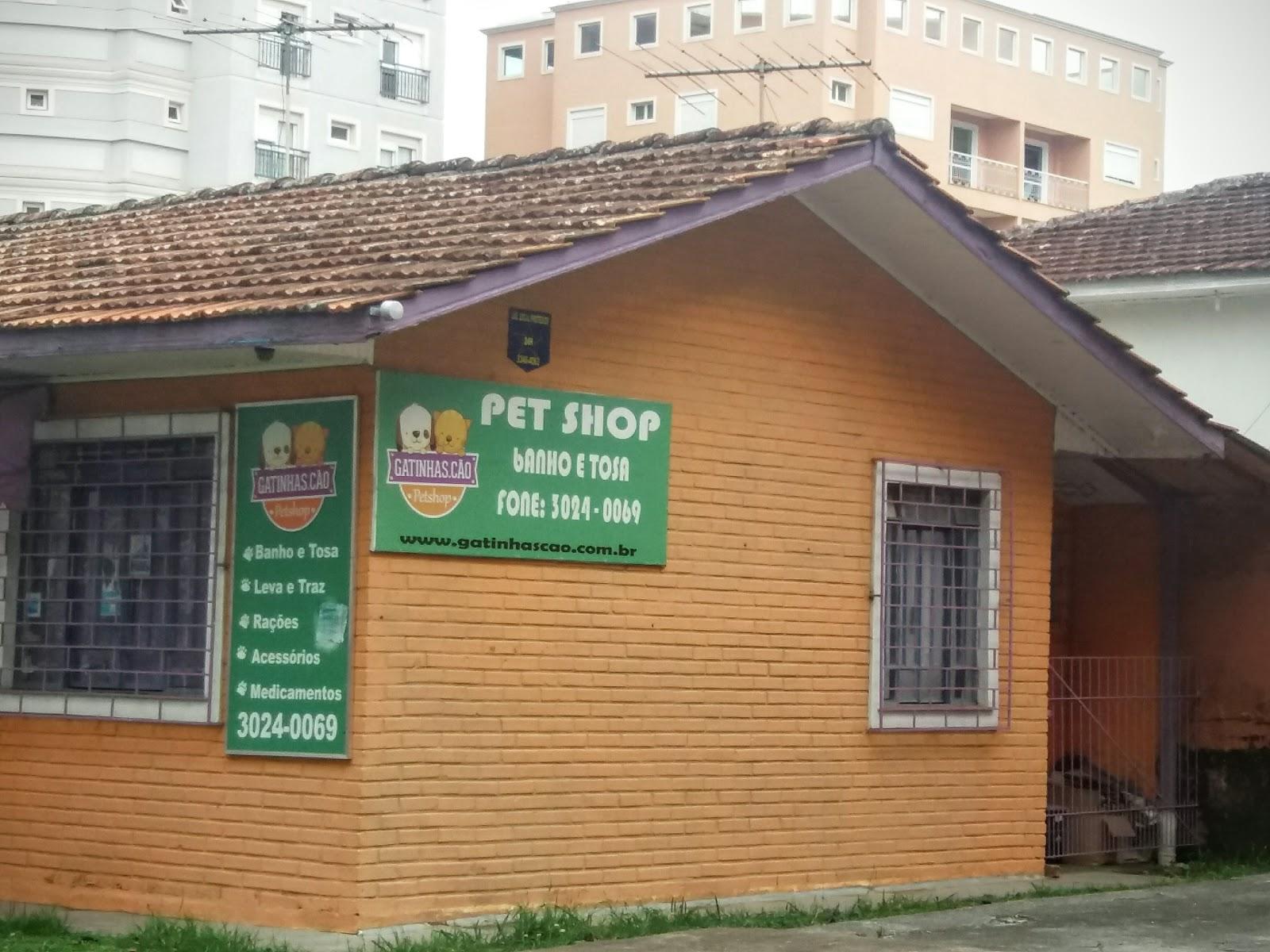 Gatinhas.Cão - Foto 2