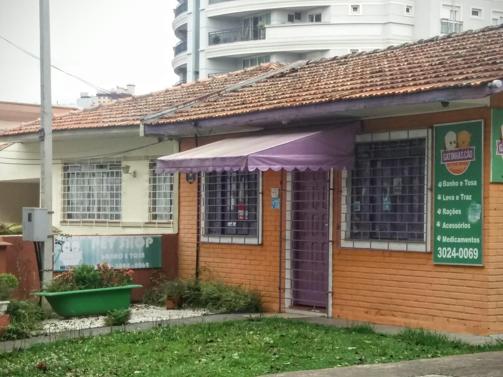 Gatinhas.Cão - Foto 3