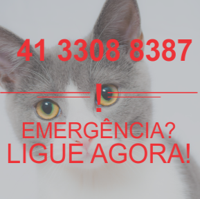 HVA - Clínica Veterinária