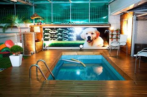 Pet Spa - Pet Shop em Curitiba
