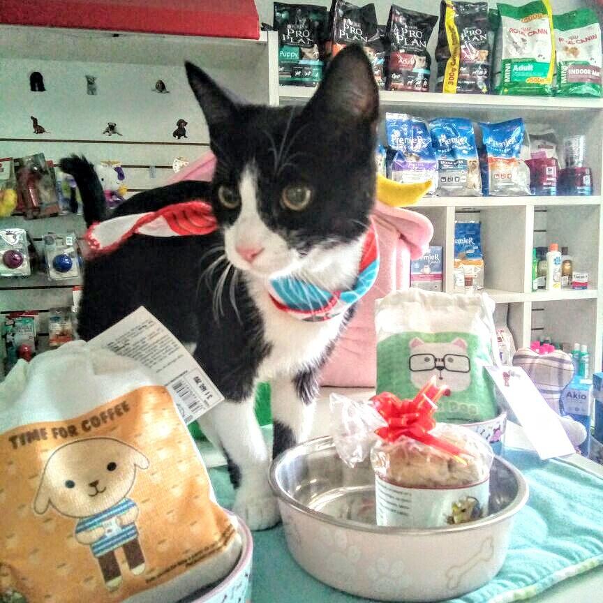 VALLI VET PET SHOP CURITIBA VETERINÁRIA EM CURITIBA.