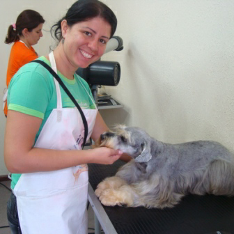 Fac Pet Brasil - Curso de Banho e Tosa e Afiação De Lâmina e Tesoura em Curitiba.
